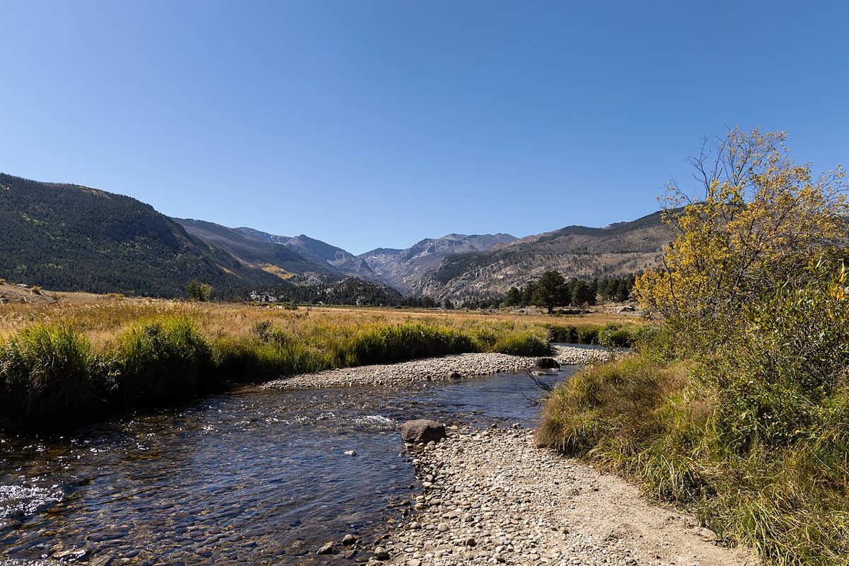 Alpine tundra and mountain peaks in Rocky Mountain National Park with elk in a meadow