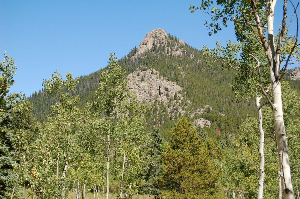 Aspen grove along a forest trail in Golden Gate Canyon State Park