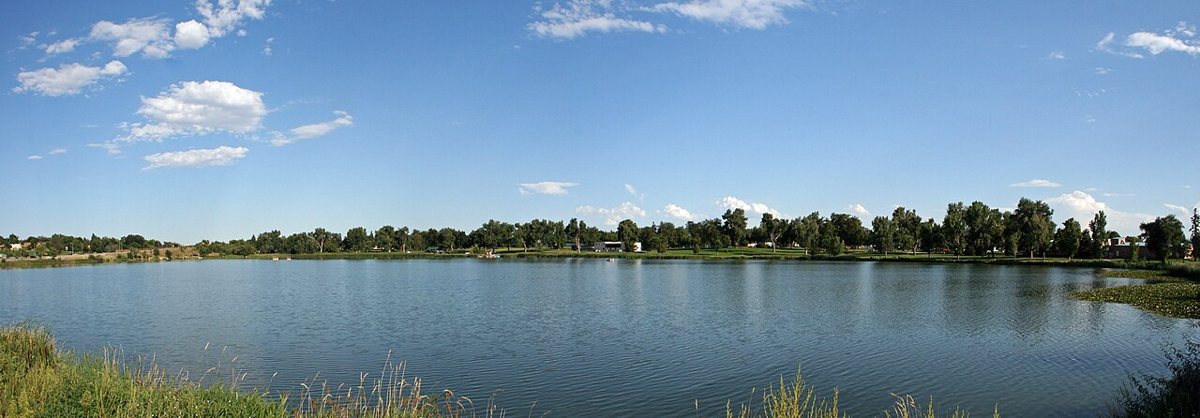 morning light on Berkeley Lake Denver with ducks and cottonwood trees reflected in calm water