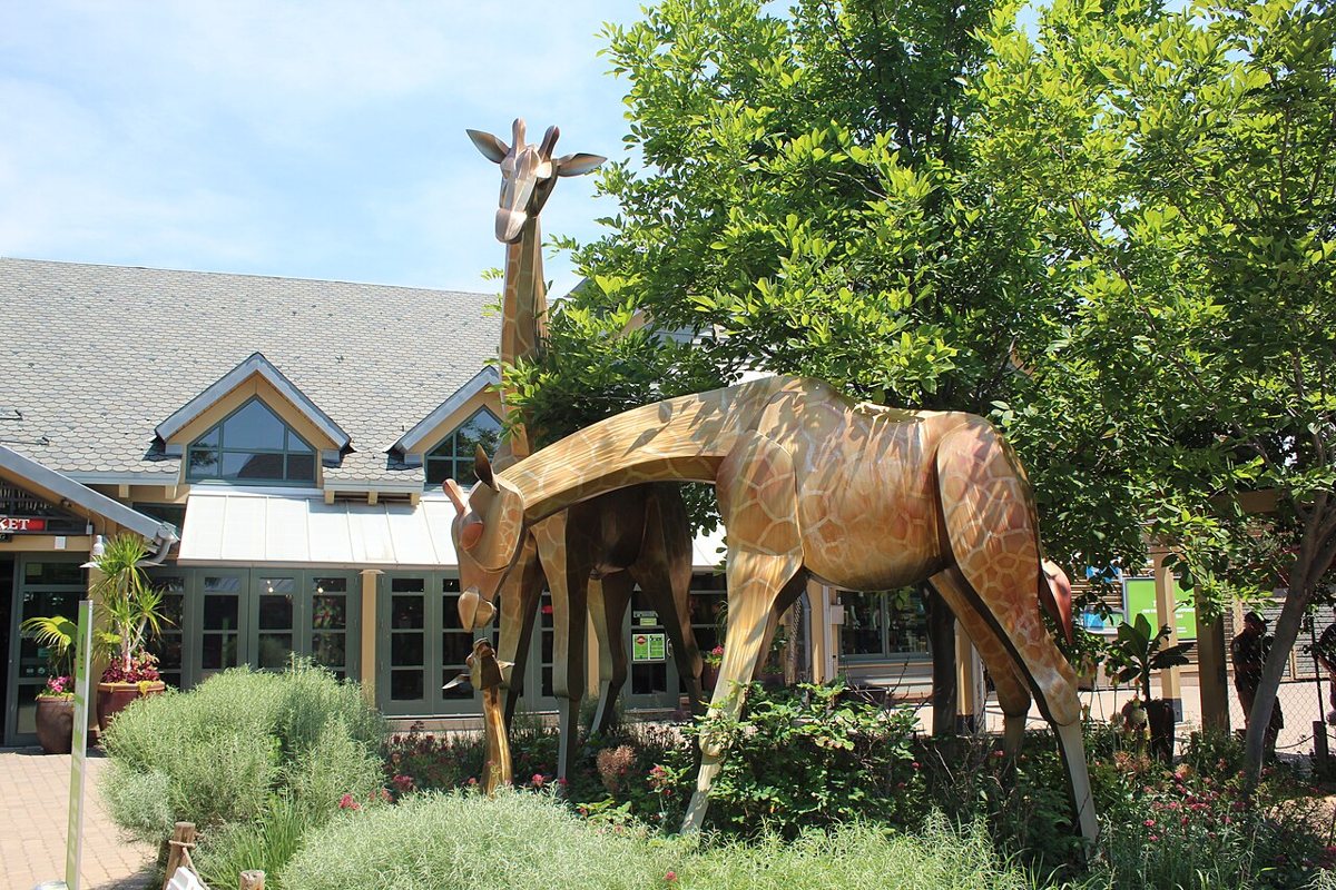 Giraffe sculptures at the entrance to the Denver Zoo