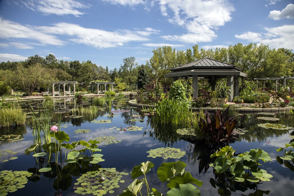 Denver Botanic Gardens in full bloom in summer